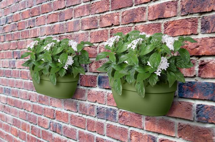 vibia campana wall basket 35cm mosgroen